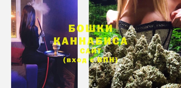 индика Армянск