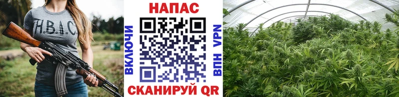 KRAKEN зеркало  Фатеж  Шишки марихуана White Widow 
